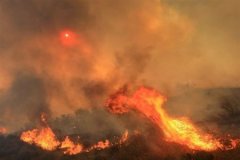 资产价格的野火如何形成了燎原之势(图)