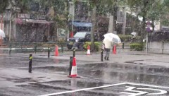 日本東京11月下雪54年來首次(視頻)