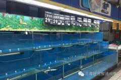 下架活鱼的故事(图)