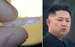 從兒童到高官金正恩在打造一個冰毒國家(圖)