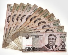 朝鮮紙幣金日成頭像上驚現「打倒金正恩」(圖)