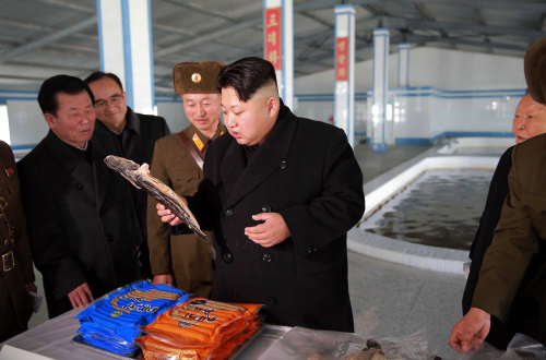 金正恩视察朝鲜鲇鱼农场。