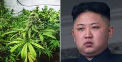 中國人跑到朝鮮去買一種東西猜猜是什麼(圖)