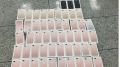 俄海關查獲大批從中國走私蘋果手機(圖)