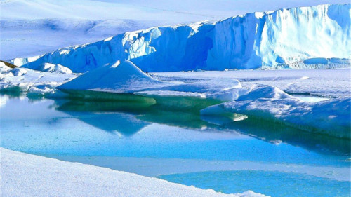 一組來自世界各地的科學家近期完成了他們對南極的部分研究，從發現的史前古樹化石可以印證，南極洲曾經是一片綠洲。(16:9) 