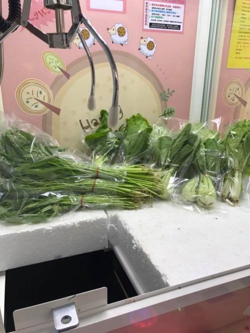 台灣最近出現一種夾蔬菜的「夾娃娃機」。