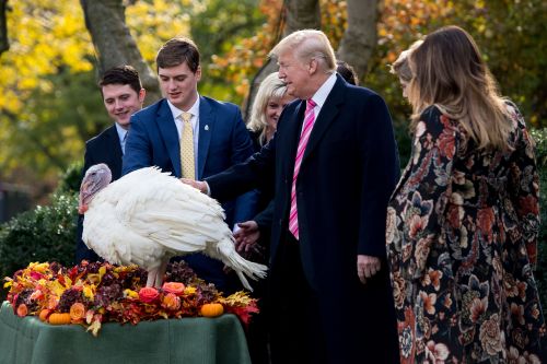 感恩节将至 川普总统首度赦免火鸡