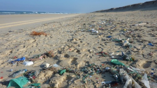 被塑料垃圾污染的海灘