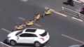 停車位不繳錢 福州女搬共享單車堵馬路(圖)