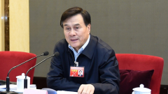 國務院秘書長楊晶出局內幕涉令計畫有性醜聞(圖)