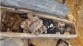福建村民挖出古屍肉身衣服未腐爛(圖)