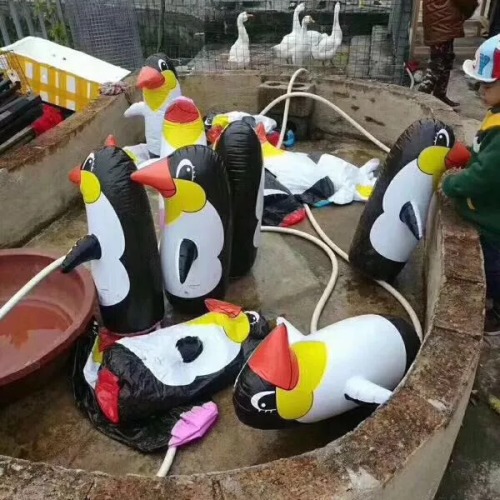 動物園「南極企鵝」 竟是吹氣玩偶