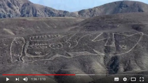 秘鲁沙漠中发现神秘虎鲸地画