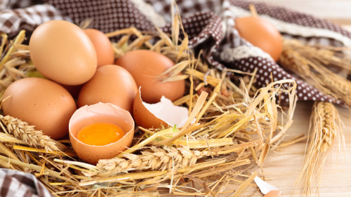 孩子從小適當吃雞蛋，有益發展記憶力。