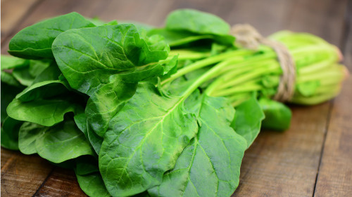 菠菜含豐富的維A、C、B1和B2是腦細胞代謝的最佳供給者之一。