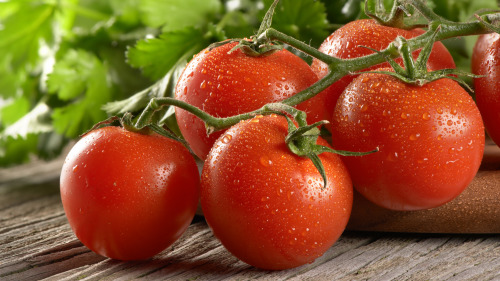 顏色越紅越成熟的西紅柿番茄紅素含量越高。