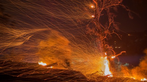 加州野火示意图