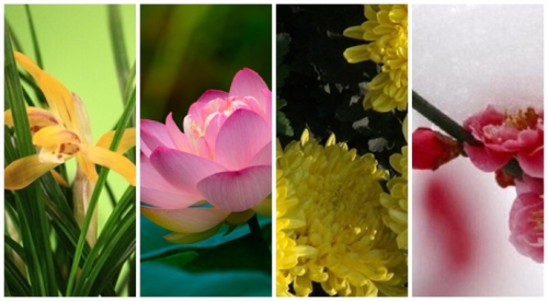 兰花或玉兰代表春天；莲荷代表夏天；菊代表秋天；茶花或梅代表冬天。