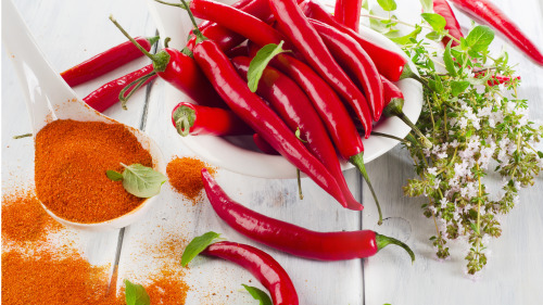 辣椒有重要的藥用價值。