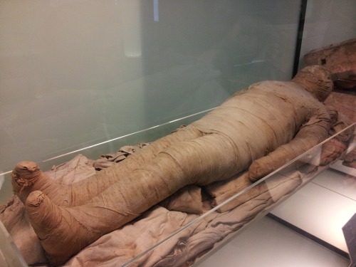 木乃伊非埃及獨有年紀最老的在秘魯