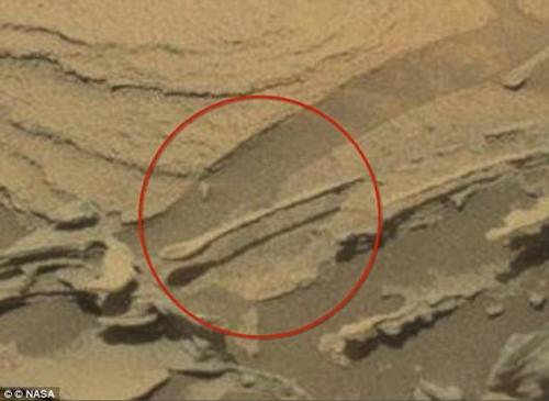 火星照片发现奇特物体类似啤酒瓶