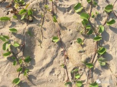 面对母亲受辱如果你是于欢(图)