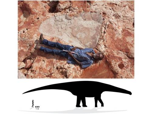世界最大恐龍腳印驚現澳洲侏羅紀公園