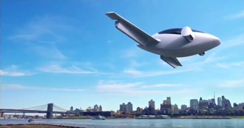 德国创新者制造的蛋形百合喷气机（视频截图） 