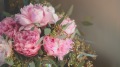 春分禁忌与节气谚语(图)