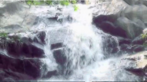 小夏威夷徑是假日行山熱點，山逕途經一個瀑布，夏季水量充沛。（圖片來源：蘋果日報視頻截圖）