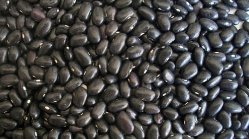 黑豆的有效补血成分大多在黑豆皮中。