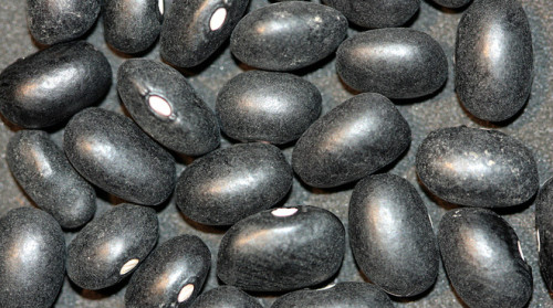 醋泡黑豆，可以減少體內的自由基，改善陰陽平衡，防癌延長壽命。