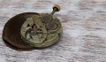 廖祖笙:把一切交給時間(圖)