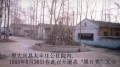 大辛莊屠殺揭開文革中血腥的一頁(下)(圖)