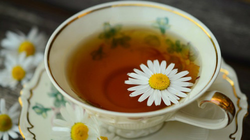 菊花茶有清心火的作用，适合祛暑。