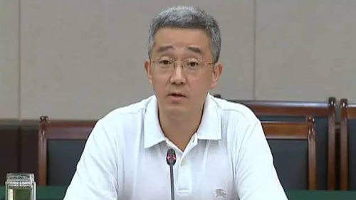 首次当选中共人大代表的胡锦涛之子胡海峰也随代表团入京，但未公开其提案。（网络图片）