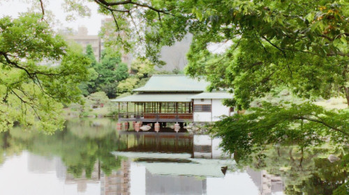 宁静古朴的日本庭园——清澄庭园