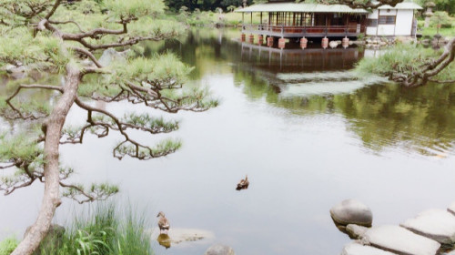 寧靜古樸的日本庭園——清澄庭園