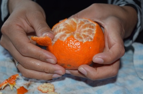 鲜橘皮与陈皮虽然是同一种东西，但性质却大不相同。