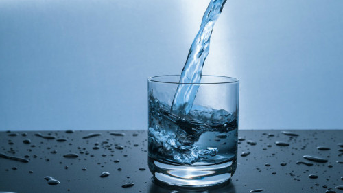 脂肪肝患者要适量饮水，以促进机体代谢及废物排泄。