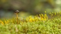 人生命定抝不得葬棺該薄厚不得(圖)