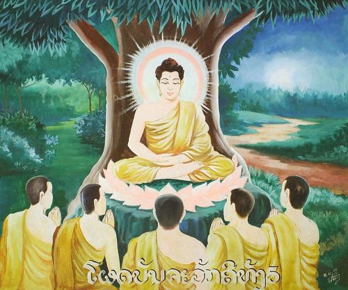 佛門弟子為什麼把菩提樹奉為聖樹？