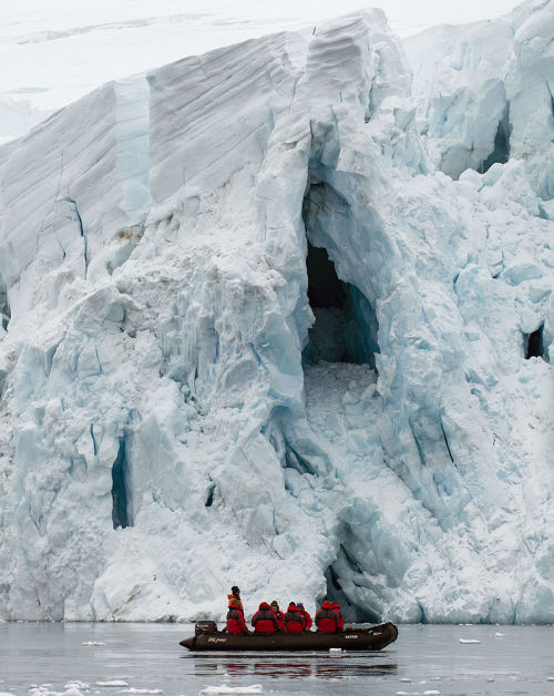 南極冰棚加速分離海平面恐上升10公分