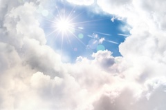 研究前世今生的科學家─史蒂文森教授(圖)