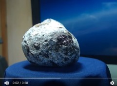 海灘上發現的奇怪物體或許就是大寶藏(圖)