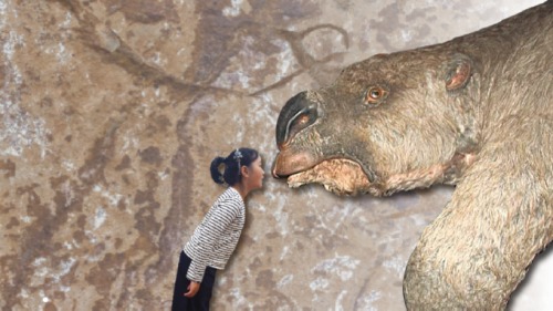 5万年前在澳洲绝迹的巨型动物双门齿兽