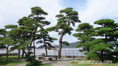 日本鸟羽海岸的自然景色