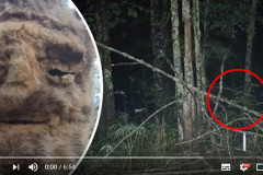 美國驚現大腳怪嚇壞民眾(圖)