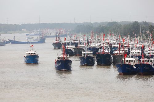 中国渔船涉非法捕捞鲨鱼20船员被扣境外