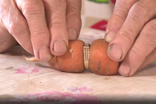 老奶奶遗失订婚戒指13年后发现长在胡萝卜上